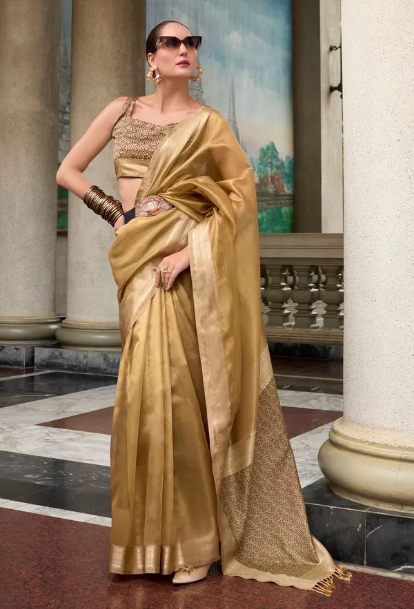 Multi_Stylish_Party_Wear_Designer_Pure_Tissue_Saree_With_Matching_Art_Silk_Blouse_Default_Title