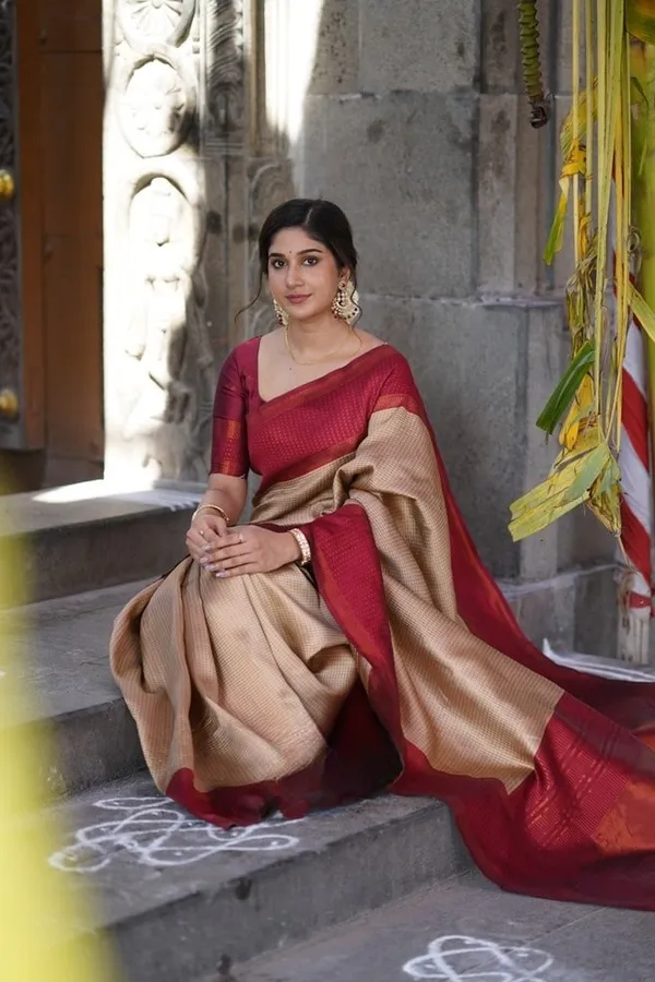 Beige_Banarasi_Soft_Silk_Saree_With_Maroon_Jacquard_Woven_Border_Default_Title