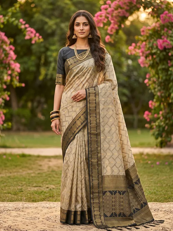 Ethnivo_Beige_Black_Traditional_Woven_Border_Cotton_Saree_Default_Title