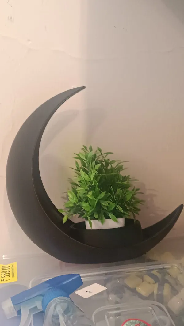 Black_Crescent_Moon_Decorative_Planter_With_Artificial_Plant