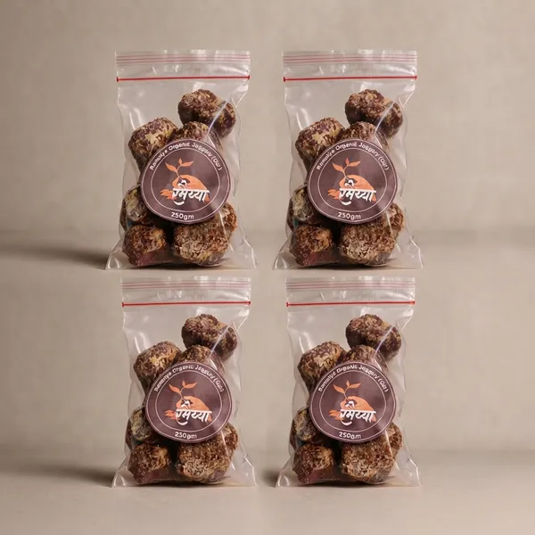 Organic_Sugarcane_Jaggery_Gur_Pack_Of_4