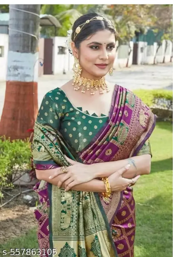 Multicolor_Banarasi_Silk_Printed_Saree_For_Women