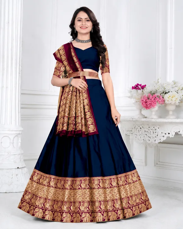 Navy_Blue_Banarasi_Silk_Flared_Lehenga_Choli_Set_For_Women