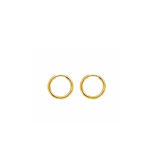 Gold_Tone_Hoop_Earrings_for_Women