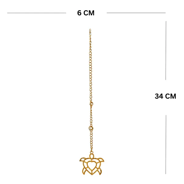 Brass_Turtle_Car_Hanging