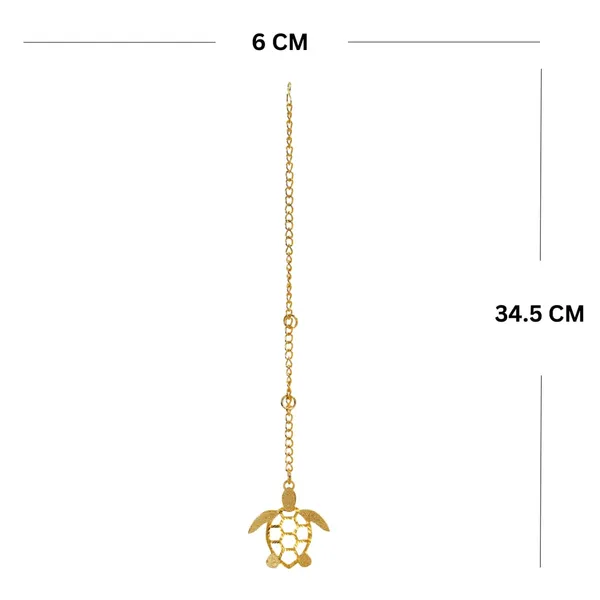Brass_Turtle_Car_Hanging