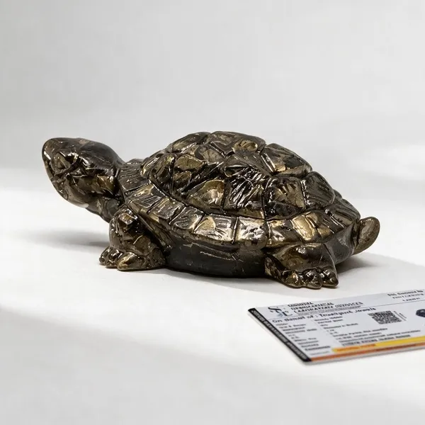 Natural_Astro_Sadhguru_Pyrite_Stone_Vastu_Tortoise_Idol
