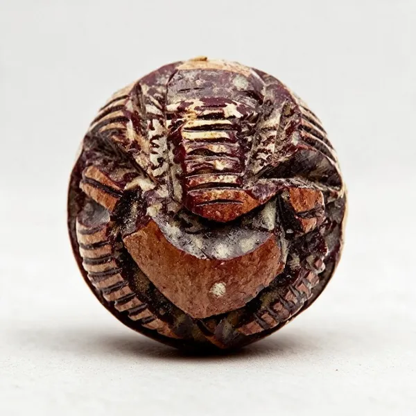 Natural_Astro_Sadhguru_Supari_Betel_Nut_Carved_Ganesha_Idol