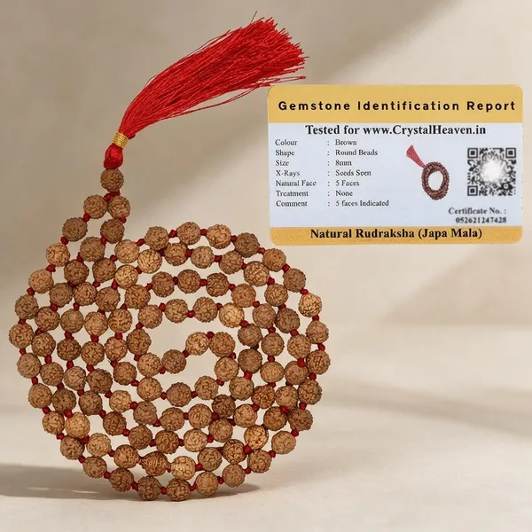 Natural_5_Mukhi_Rudraksha_Beaded_Japa_Mala_For_Men_And_Women