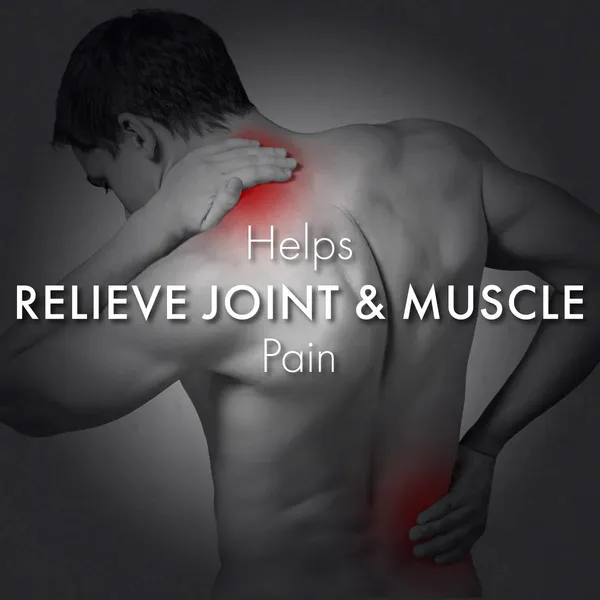 Pain_Guard_Wintergreen_Eucalyptus_Joint_Relief_Liniment_Oil