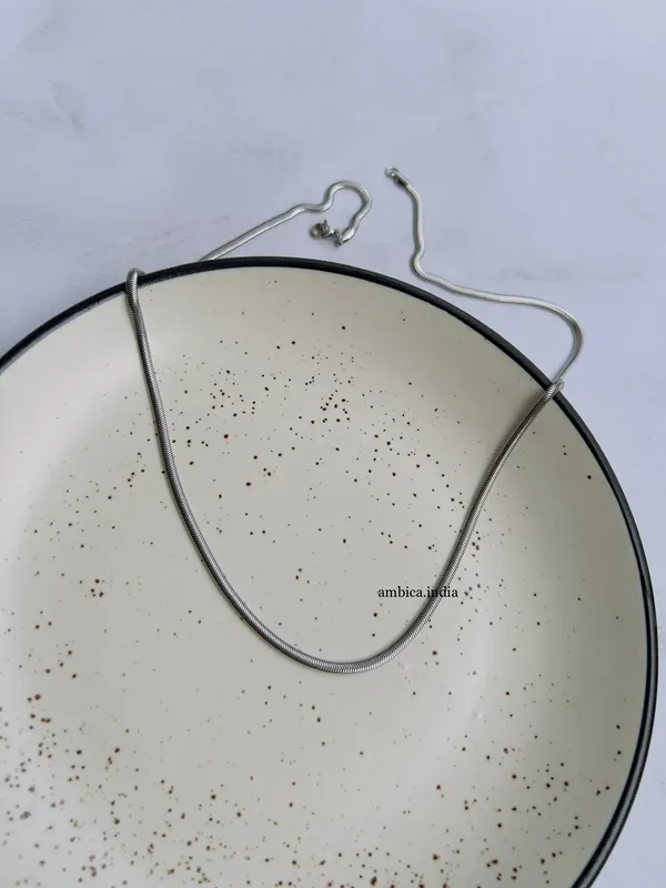 Thin_Silver_Long_Snake_Chain_Default_Title
