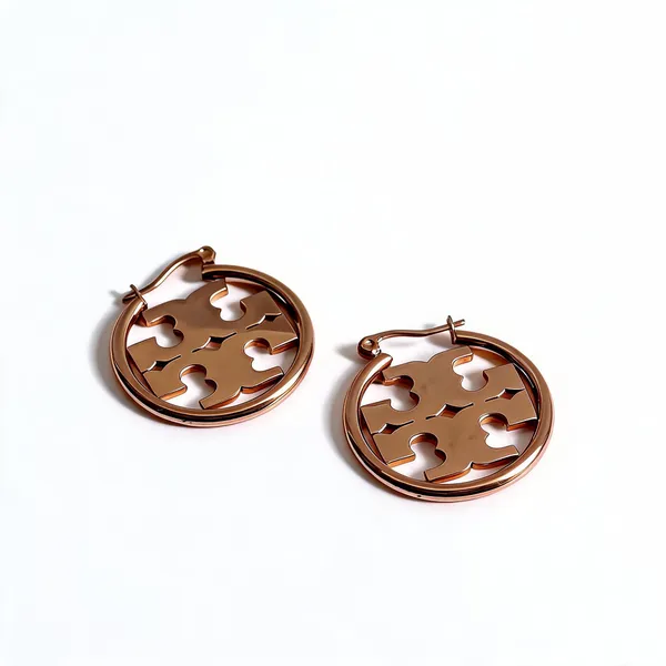 Tory_Brunch_Hoops