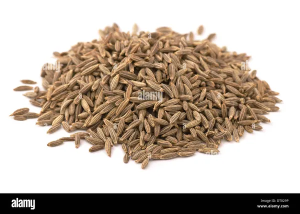 Cumin_Seeds_whole_100g__Pack_Of_4