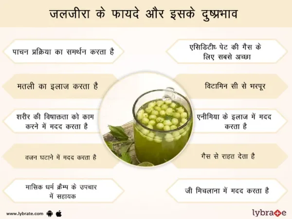 CHECKMATE_JALJEERA__MASALA_Powder_PACK_OF_3