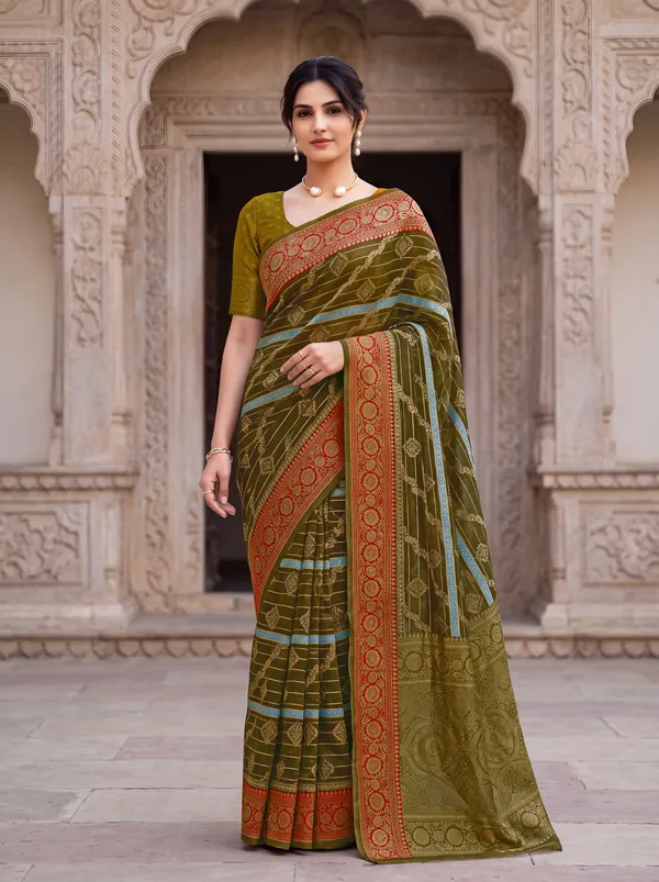 Elegant_Olive_Green_Organza_Silk_Saree_With_Red_Woven_Border_Default_Title
