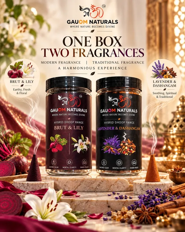 Hybrid_Fragrance_Range-_Brut_And_Lily_Hybrid_And_Natural_Lavender_And_Dashangam_Dhoop_Cones_Pack_Of_2