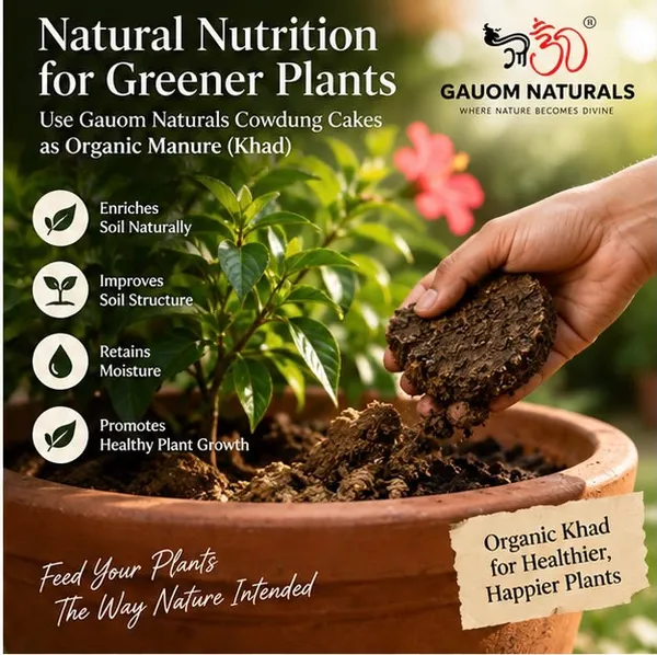 Gauom_Naturals_Premium_Cowdung_Cakes_4_Inches