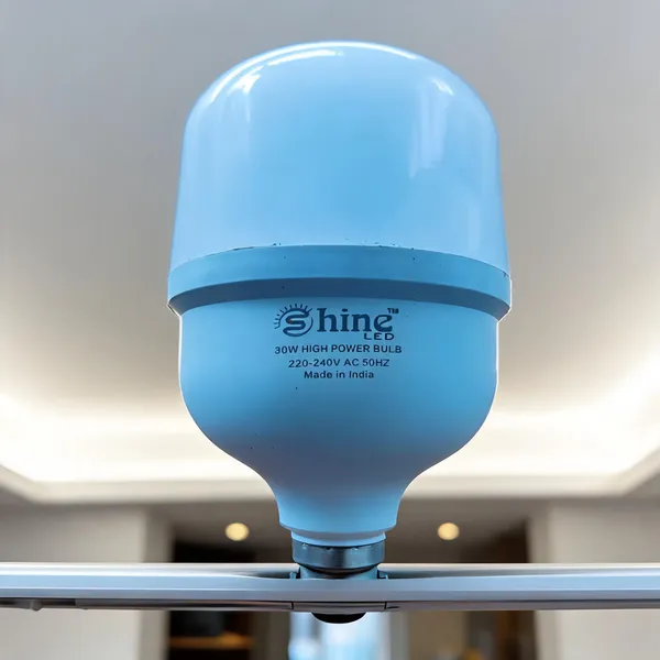 Fiber_Indoor_Cool_White_30W_High_Power_LED_Bulb