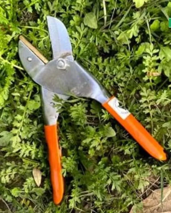 AGT_Set_A38_Garden_Tool_Kit_(4_Tools)