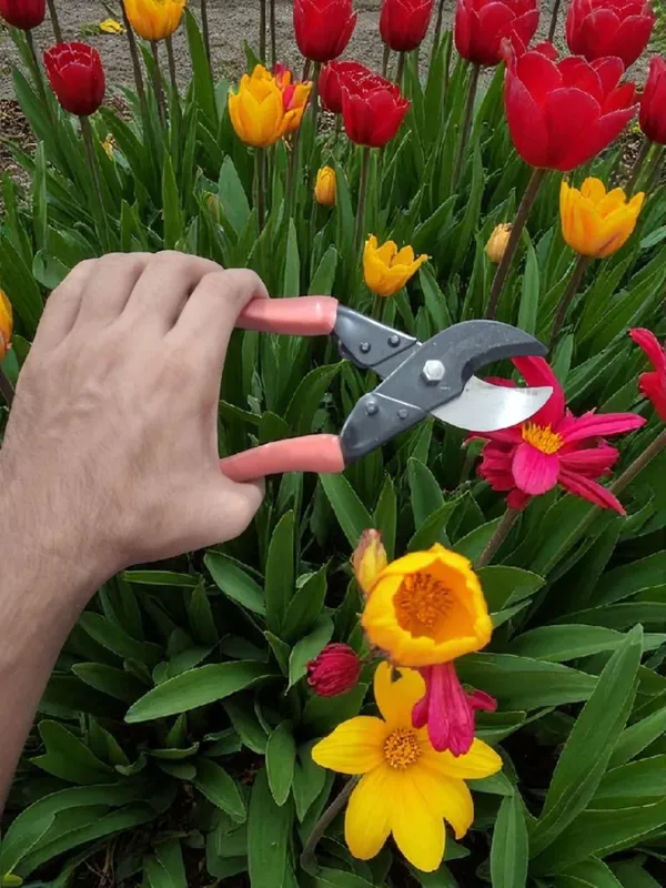 AGT_AGT65_Garden_Tool_Kit_(3_Tools)