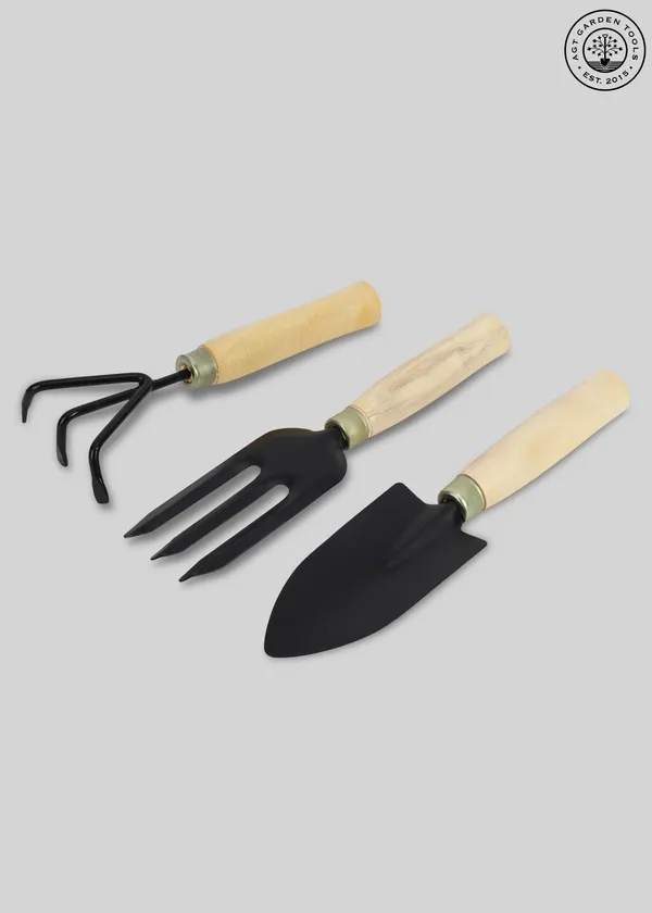 AGT_Garden_Tool_Set_Big_Trowel,_Hand_Fork_&_Hand_Rake_for_Gardening_Garden_Tool_Kit_(3_Tools)