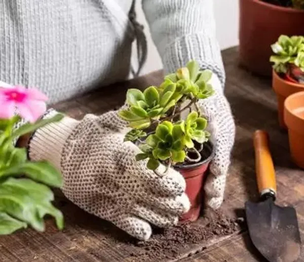AGT_Gardening_Mini_Tools_Set_-_3-Pieces_Garden_Tool_Kit_(3_Tools)