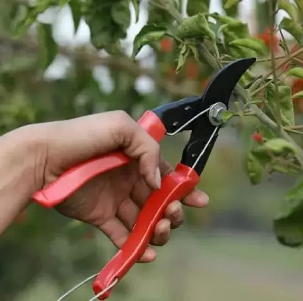 AGT_Gardening_Tools_Set_Kit_Combo_Garden_Tool_Kit_(5_Tools)_Garden_Tool_Kit_(5_Tools)
