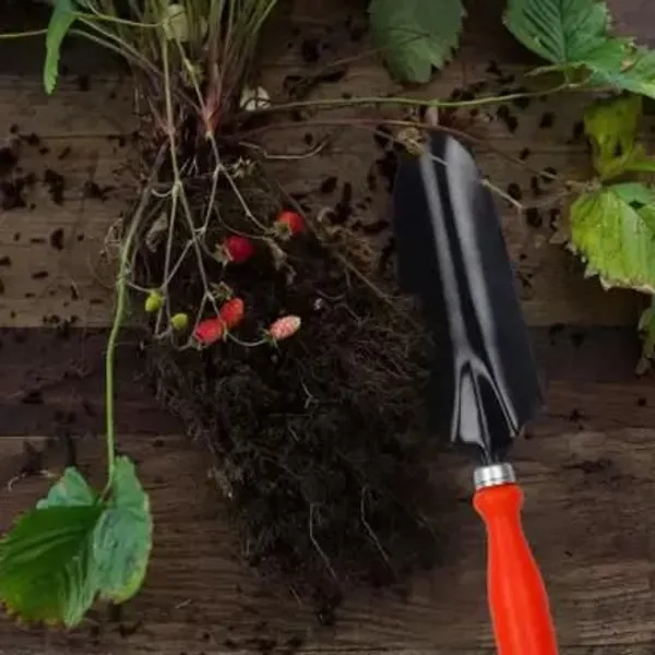 AGT_HAND_TOOL_FOR_HOME_QUALITY_GARDENING_|_KHURPA_|_DOUBLE_CUT_PRUNER_|_Garden_Tool_Kit_(1_Tools)