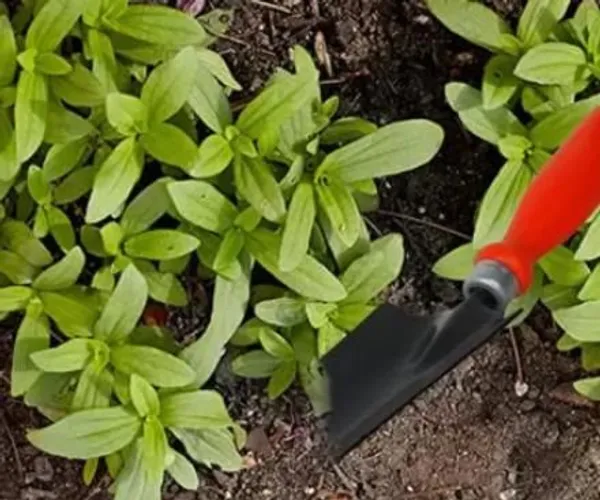 AGT_HAND_TOOL_FOR_HOME_QUALITY_GARDENING_|_KHURPA_|_DOUBLE_CUT_PRUNER_|_Garden_Tool_Kit_(1_Tools)