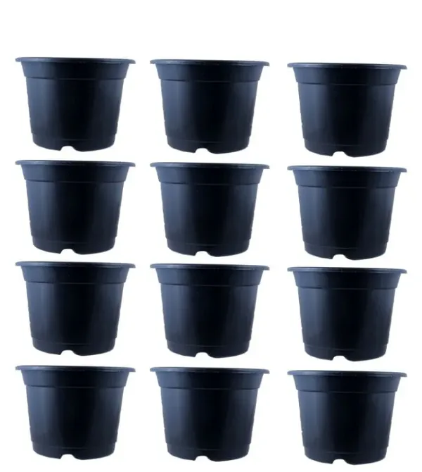 Black_Pot_Set_of_12