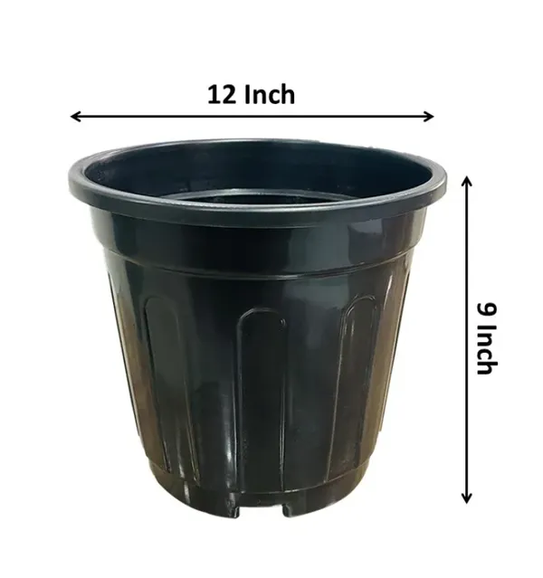 Black_Pot_Set_of_20