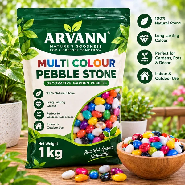Multicolor_Stone_Pebbles_1_kg