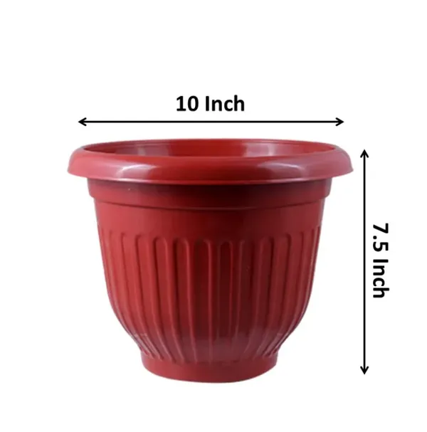 Red_Olive_Terracotta_Pot_Set_of_12