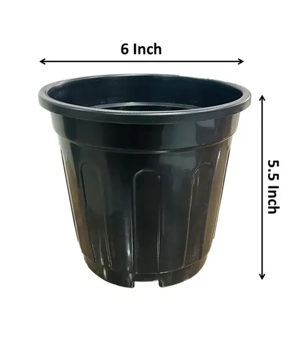 Black_Pot_Set_of_6