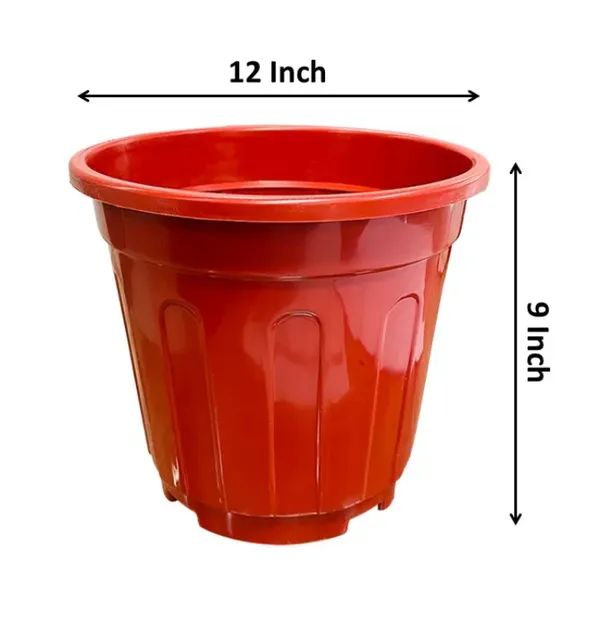 Red_Pot_Set_of_12