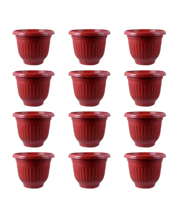 Red_Olive_Terracotta_Pot_Set_of_12