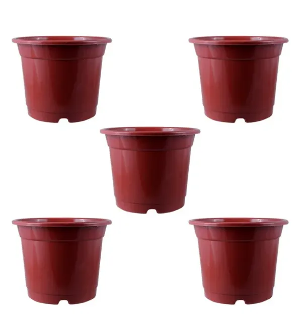 Red_Pot_Set_of_5