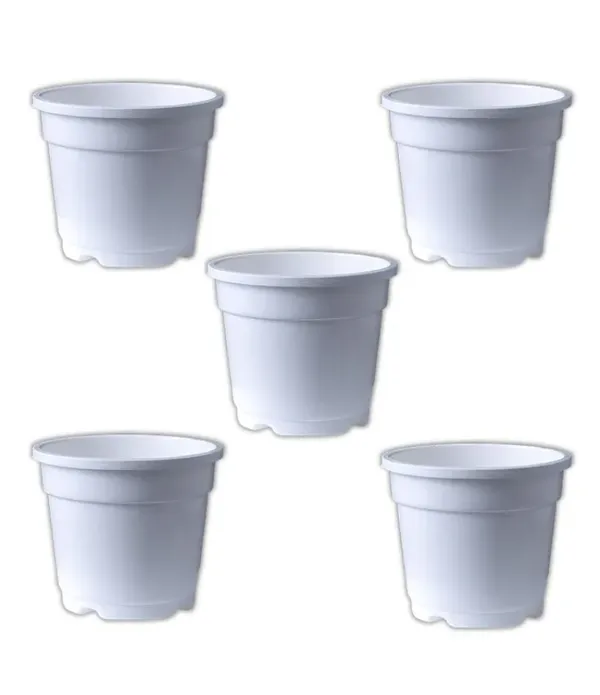 White_Pot_Set_of_5