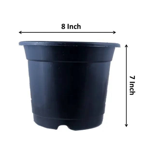 Black_Pot_Set_of_12