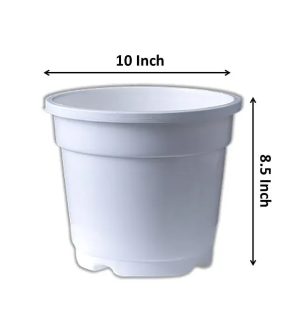White_Pot_Set_of_5