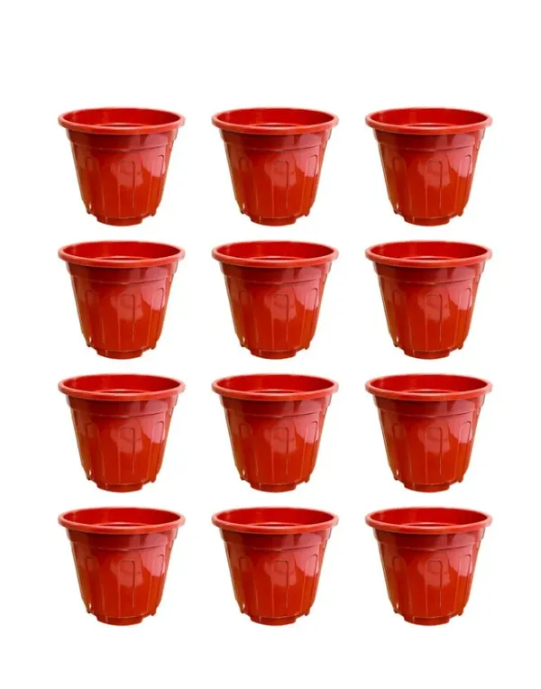 Red_Pot_Set_of_12