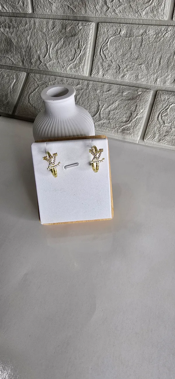 The_Saaj-earring