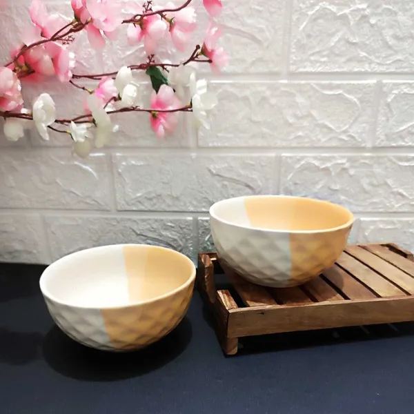 AAV_WORLD_Ceramic_Soup_Bowl_shed_SOUP_BOWLS_IN_CERAMIC_(Pack_of_2,_White)