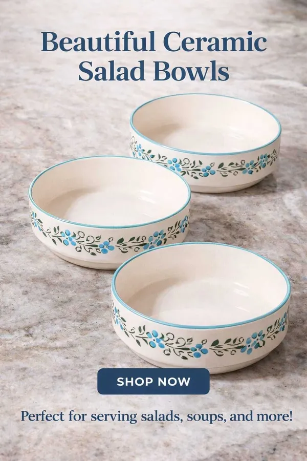 AAV_WORLD_Ceramic_Soup_Bowl_platter_IN_CERAMIC_(Pack_of_3,_White)