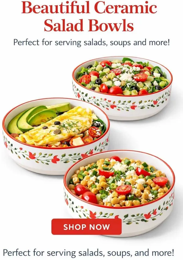AAV_WORLD_Ceramic_Soup_Bowl_shed_SOUP_BOWLS_IN_CERAMIC_(Pack_of_3,_White)