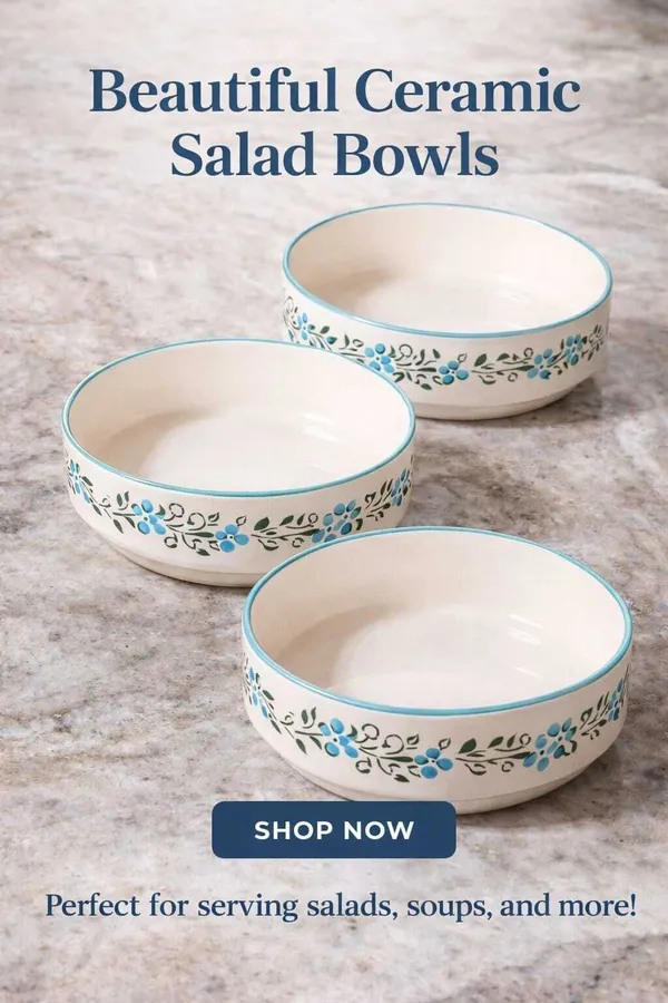 AAV_WORLD_Ceramic_Soup_Bowl_platter_IN_CERAMIC_(Pack_of_3,_White)