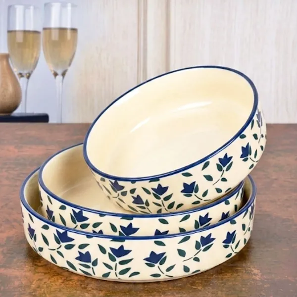 AAV_WORLD_Ceramic_Salad_Bowl_SALAD_TRAY_Disposable_(Pack_of_3,_Off_White)