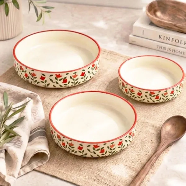 AAV_WORLD_Ceramic_Salad_Bowl_SALAD_TRAY_Disposable_(Pack_of_3,_Red)