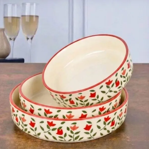 AAV_WORLD_Ceramic_Salad_Bowl_SALAD_TRAY_Disposable_(Pack_of_3,_Red)