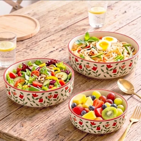 AAV_WORLD_Ceramic_Salad_Bowl_SALAD_TRAY_Disposable_(Pack_of_3,_Red)